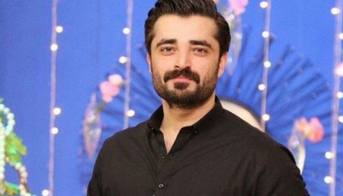 حمزہ علی عباسی کا بھارت میں طیارہ حادثے پر دکھ کا اظہار
