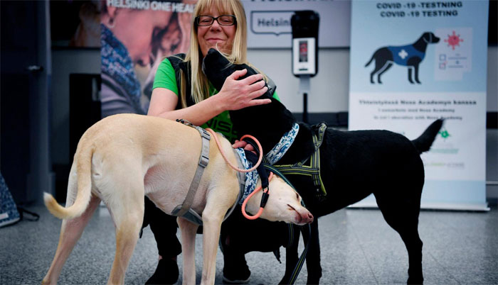 فن لینڈ: ایئر پورٹ پر کورونا وائرس کو سونگھنے والے کتے تعینات کیے جائیں گے