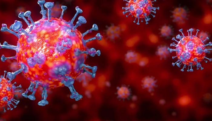آج سندھ میں کورونا وائرس کے 242 نئے کیسز کی تشخیص ہوئی ہے، وزیراعلیٰ