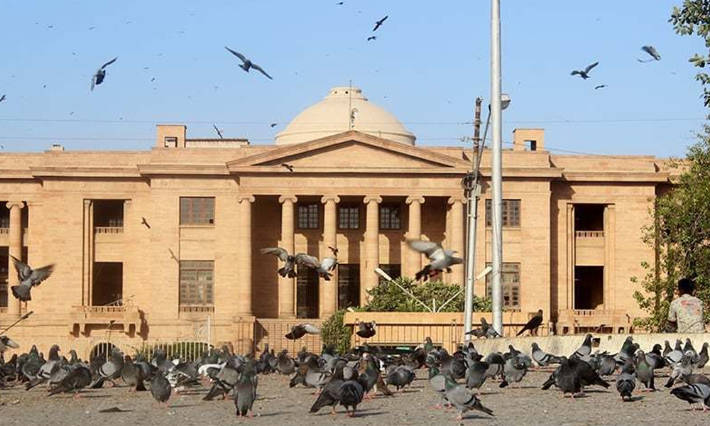 کراچی ،چڑیا گھر میں ریچھ کے بچےکو رکھنے کیخلاف سماعت