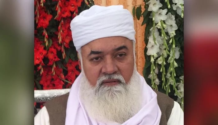 عثمان بزدار شریف النفس وزیر اعلیٰ ہیں، جلیل احمد شرقپوری