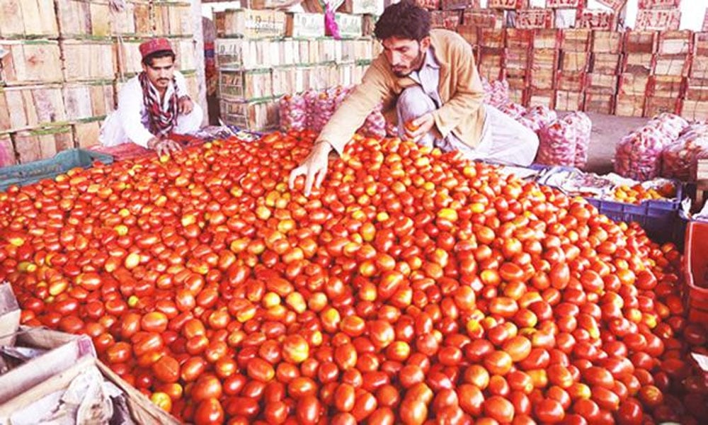 پشاور: ذخیرہ اندوزوں سے پکڑے گئے ٹماٹروں کی نیلامی