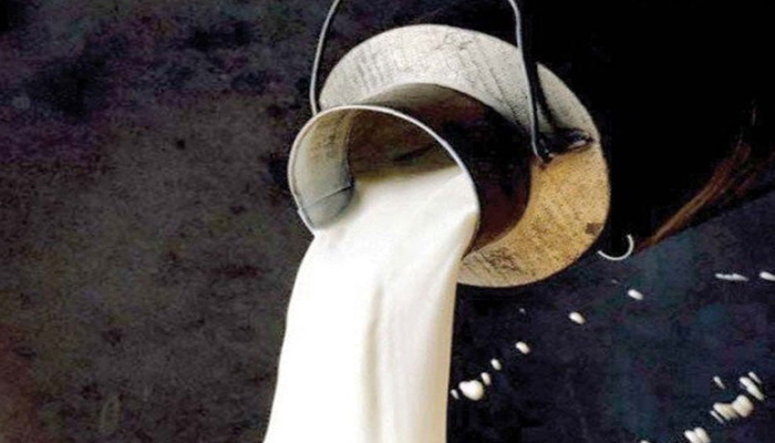 روالپنڈی: مضرِ صحت دودھ کا کاروبار کرنے والوں کے خلاف کارروائی