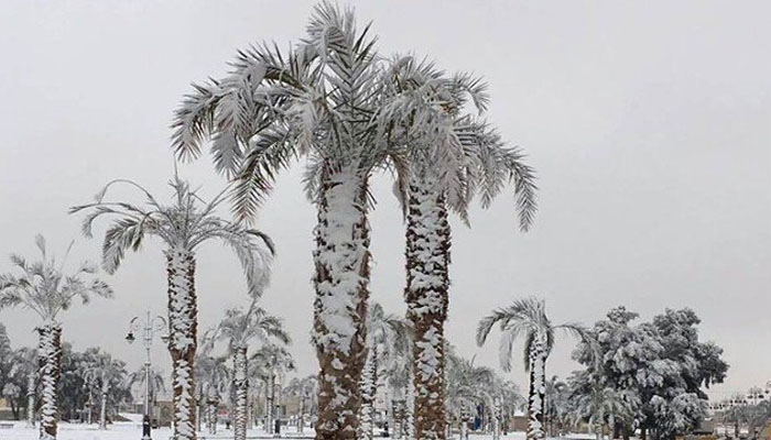 سعودی عرب کے ریگستان میں برفباری 