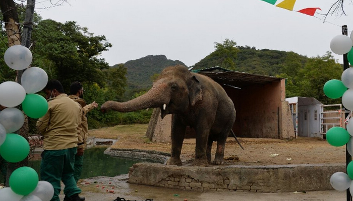  مرغرار چڑیا گھر کے ہاتھی کو کمبوڈیا بھیجنے کی تیاریاں مکمل