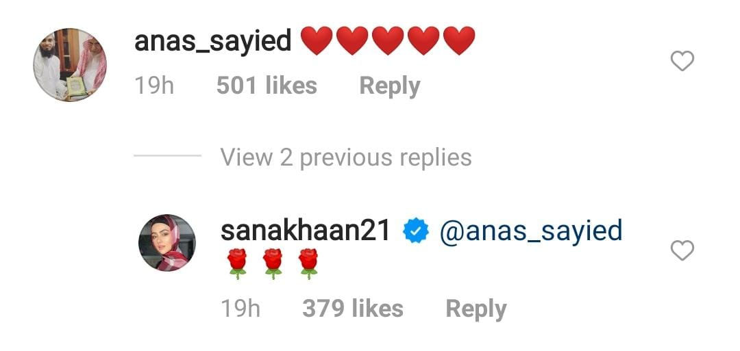 ثناء خان کی دلکش تصویروں پر شوہر کا اظہار محبت