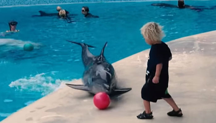 ڈولفن کی بچے کے ساتھ فٹبال کھیلنے کی ویڈیو وائرل 
