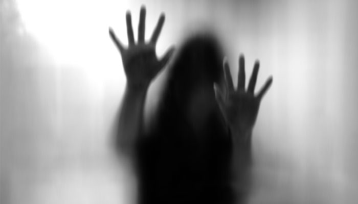 لیہ، خاتون سمیت 2 بیٹیوں اور بہو سے مبینہ زیادتی