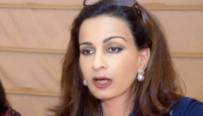 پیپلز پارٹی کا ایل این جی درآمد میں تاخیر پر پارلیمانی تحقیقات کا مطالبہ