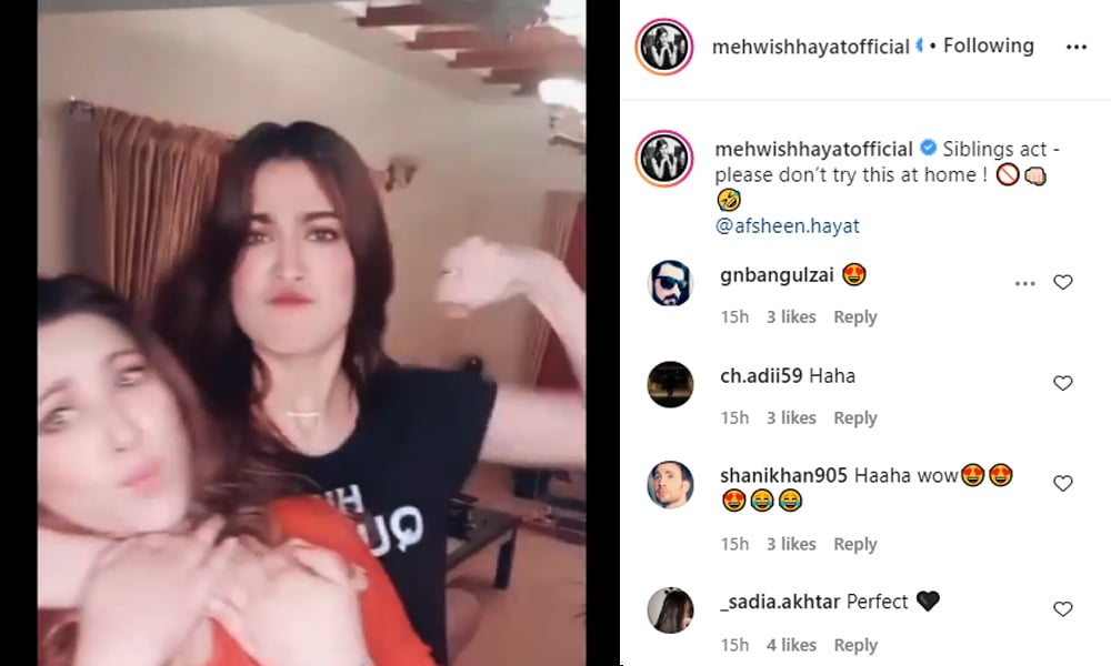 مہوش حیات کی بہن سے لڑائی کی ویڈیو منظرعام پر آ گئی