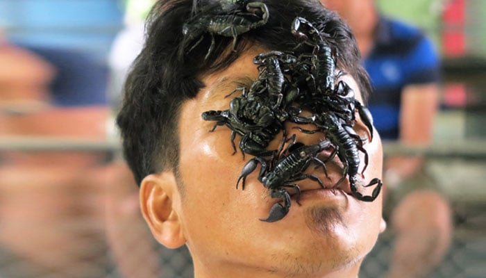  بچھو کا زہر بیچ کر لکھ پتی بننے والا نوجوان 