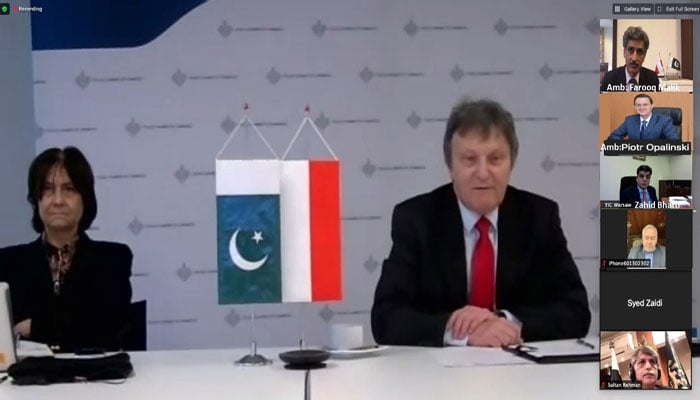 وارسا میں ویبینار: پاکستان اور پولینڈ میں دوطرفہ تجارت بڑھانے پر زور