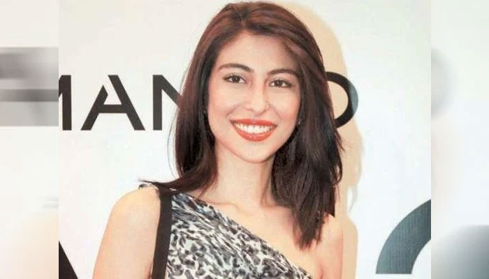 میشا کو عدالت نے تذلیل کرنے کی مہم کا مرتکب نہیں ٹھہرایا، وکیل