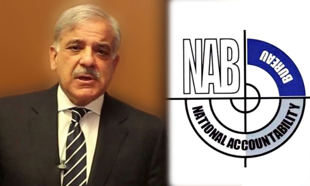 شہباز شریف کی اہلیہ، بیٹے، بیٹی، داماد کے اثاثے قرق