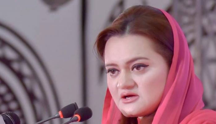 ن لیگ کی پارٹی رہنماؤں کی جانب سے استعفے اسپیکر اسمبلی کو جمع کروانے کی تردید