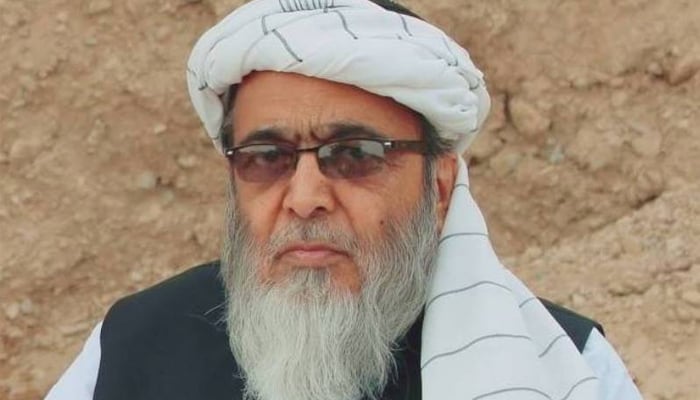 حافظ حسین احمد پارٹی سے اخراج کو ڈکٹیٹر شپ سے تعبیر دیدیا