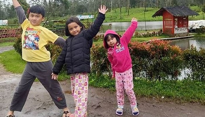 انڈونیشیا طیارے حادثے کا شکار فیملی کی آخری دلخراش پوسٹ 