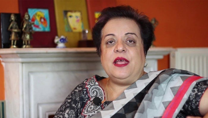 مریم نواز دو بار این آر او لے چکی، تیسرے کیلئے کوشاں ہیں، شیری مزاری کا انکشاف