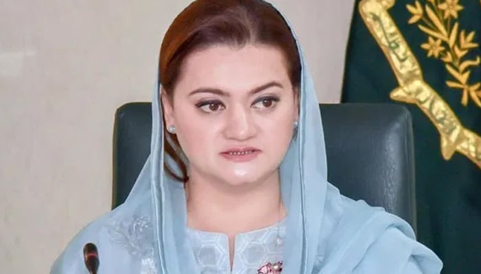 نالائقوں نے پاکستان کو نیلام گھر بنا دیا ہے، مریم اورنگزیب