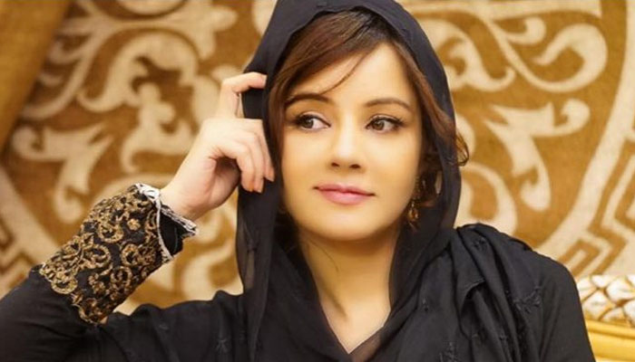 ہم ایک منفی قوم بنتے جارہے ہیں: رابی پیرزادہ