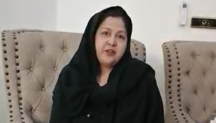 سینیٹ کے انتخاب کیلئے کارکنان سے درخواستیں نہیں مانگی گئیں، پی ٹی آئی رہنما