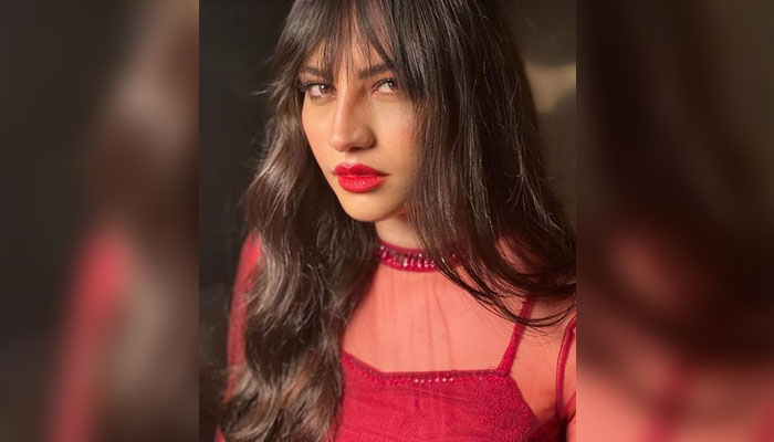 نیلم منیر کا ’لوو‘ کیا؟ اداکارہ نے بتادیا