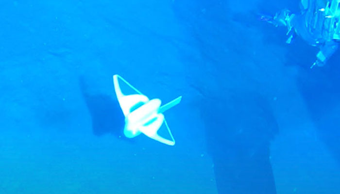 سمندر کی گہرائی میں تحقیق کیلئےخودکار روبوٹ تیار 