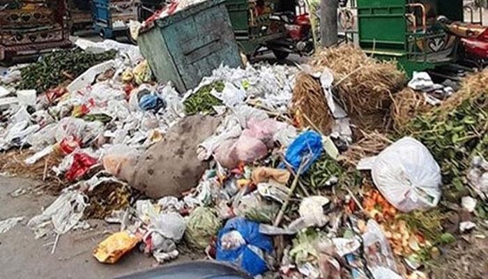 لاہور میں کچرے پر پنجاب حکومت سے جواب طلب