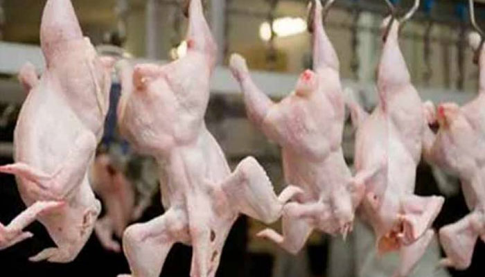 لاہور میں مرغی کا گوشت سستا ہو گیا