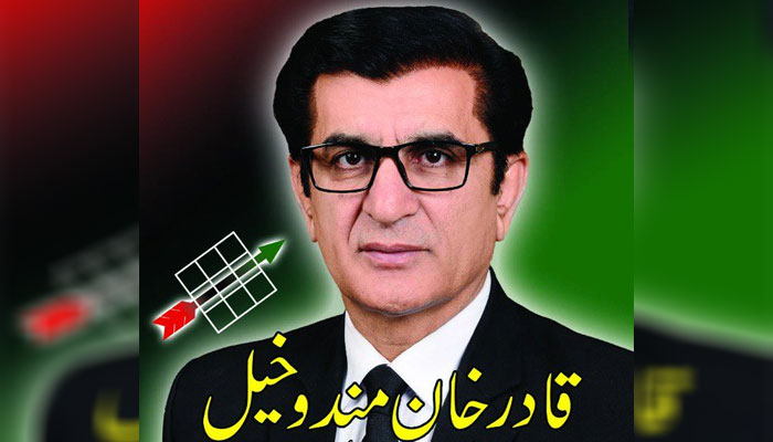 ضمنی الیکشن NA249، پیپلز پارٹی کا امیدوار اہل قرار