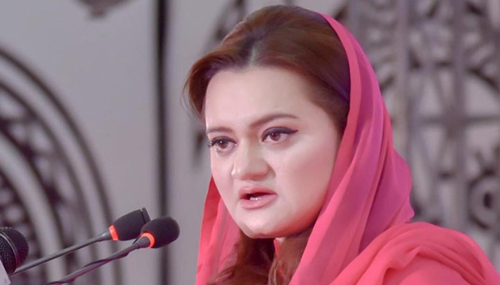 اے این پی کی پی ڈی ایم سے علیحدگی افسوسناک ہے، مریم اورنگزیب