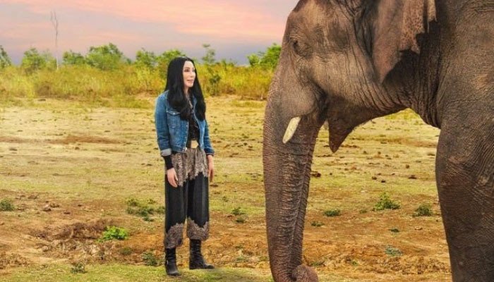 ‘Cher & The Loneliest Elephant’: Trailer released for new documentary on Kaavan