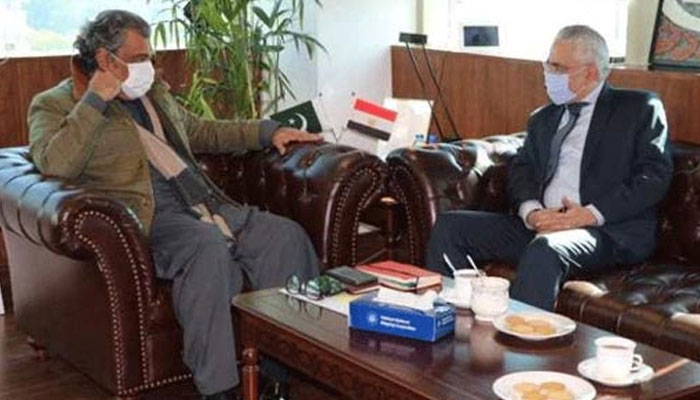 وفاقی وزیر بحری امور کی مصر کے سفیر سے ملاقات