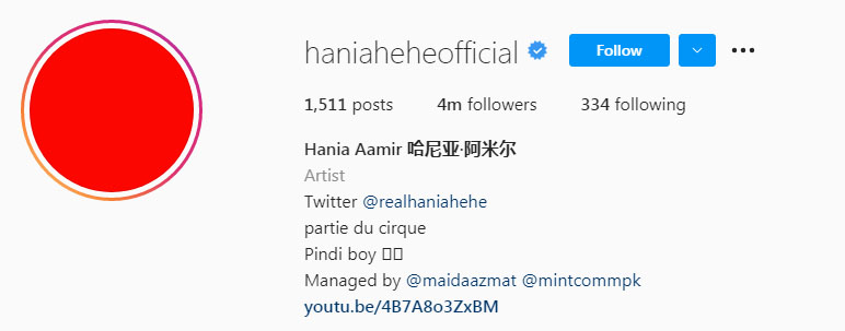 ہانیہ عامر انسٹاگرام پر چھاگئیں