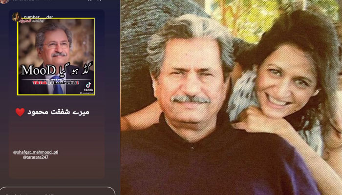شفقت محمود کی بیٹی بھی والد پر بننے والے میمز سے محظوط ہونے لگیں 