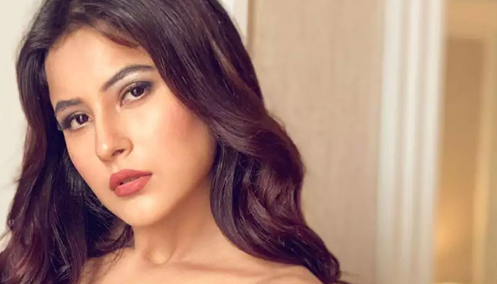 Shehnaz Gill sings Justin Bieber's Peaches to flaunt her English: Watch Video