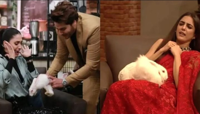 PEMRA fines ‘Time Out With Ahsan Khan’ show for manhandling animals