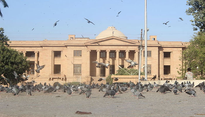 پنجاب میں فوڈ اتھارٹی کام کرتی، یہاں مردہ مرغیاں کھلا رہے: عدالت