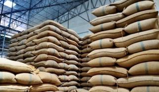 حافظ آباد، ذخیرہ اندوزوں کیخلاف کارروائی، گندم کی 1 لاکھ بوریاں برآمد