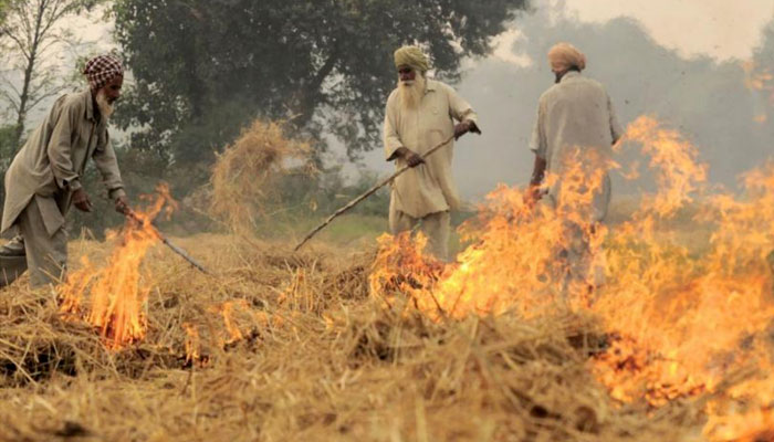  گندم کی باقیات نہ جلائیں، موٹر وے پولیس کی کسانوں سے اپیل