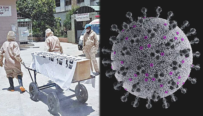 پاکستان: کورونا وائرس کے کیسز اور اموات میں کمی