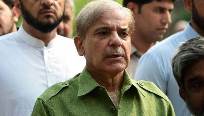 حکمران سب اچھا ہے کی بے حسی کی رپورٹ دے رہے ہیں،شہباز شریف