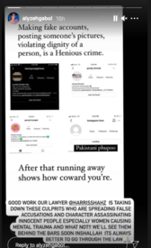 Making fake accounts and posting someone's photos are heinous crimes: Alyzeh Gabol