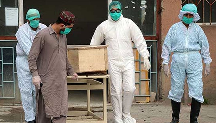 پاکستان میں کورونا سے مزید 47 اموات