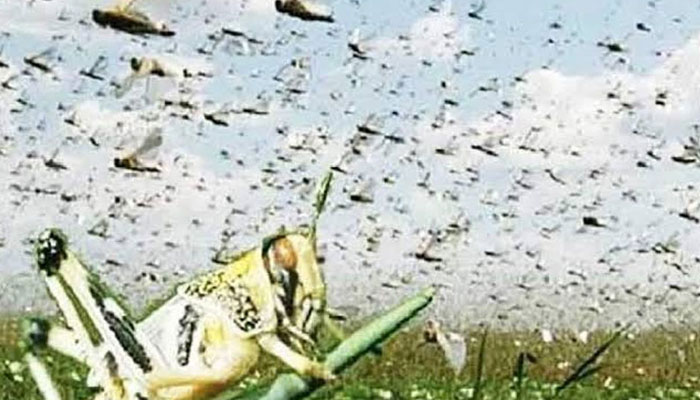 جنگ نیوز