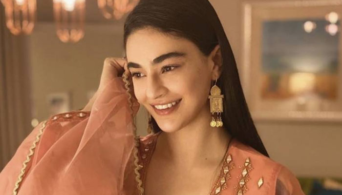 پراجیکٹ کے خاتمے پر پچھتانا غلط ہے، صحیفہ جبار خٹک