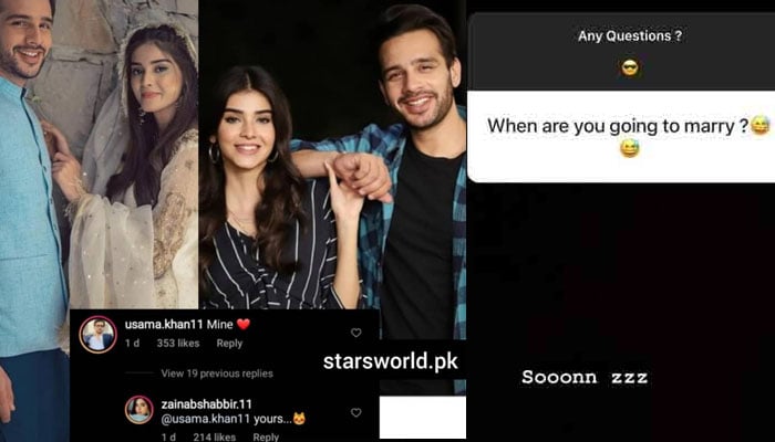 اداکار اسامہ خان اور زینب شبیر شادی کرنے والے ہیں؟