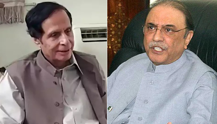 آصف زرداری، پرویز الہٰی ملاقات کی اندرونی کہانی