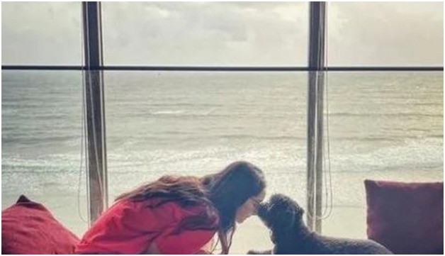 Shraddha Kapoor shares panoramic sea view of her Mumbai residence as she pampers pet dog