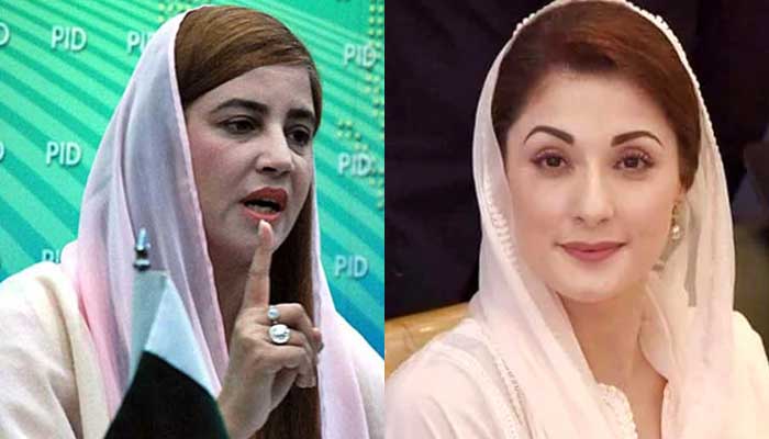 مریم نواز اپنے مفرور والد صاحب کی مذمت کریں، زرتاج گل